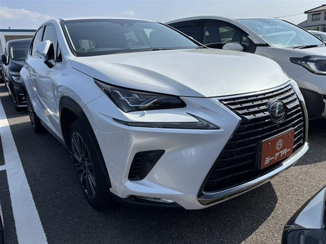 NX300 Iパッケージ 4WD