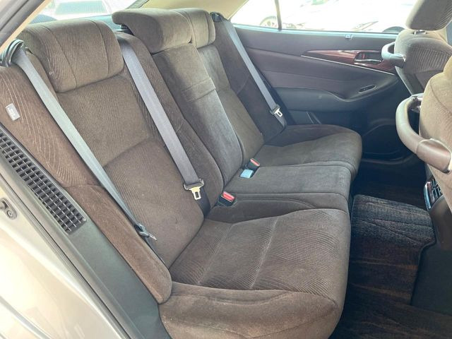 �㕔���Ȃ��C�ɂȂ�悤�ȃL�Y�E�����ւ��蓙�A�傫�ȃ_���[�W�͂Ȃ��A�ǍD�ȏ�Ԃł��B