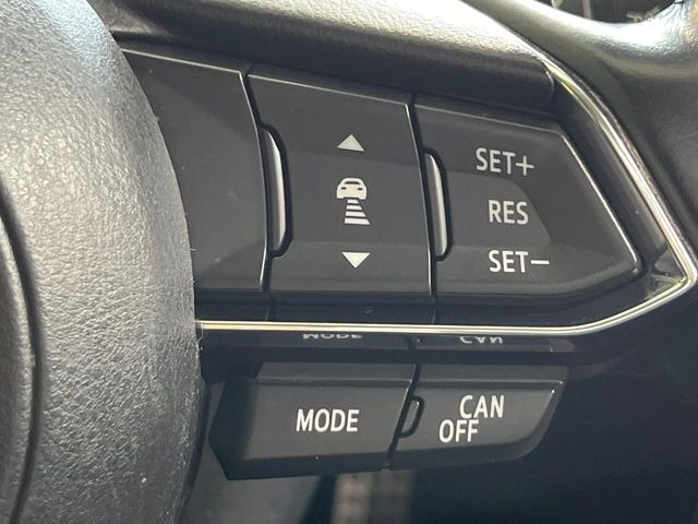 �y�}�c�_�E���[�_�[�N���[�Y�R���g���[���z�������H�ł̒��������s���y��!�����ő��x��ۂN���[�Y�R���g���[�����A�Փˌy���V�X�e���ƘA�g���A�O���̎ԗ������m���ĎԊԂ�ۂ悤�ɑ��x���߂��Ă���܂�!!