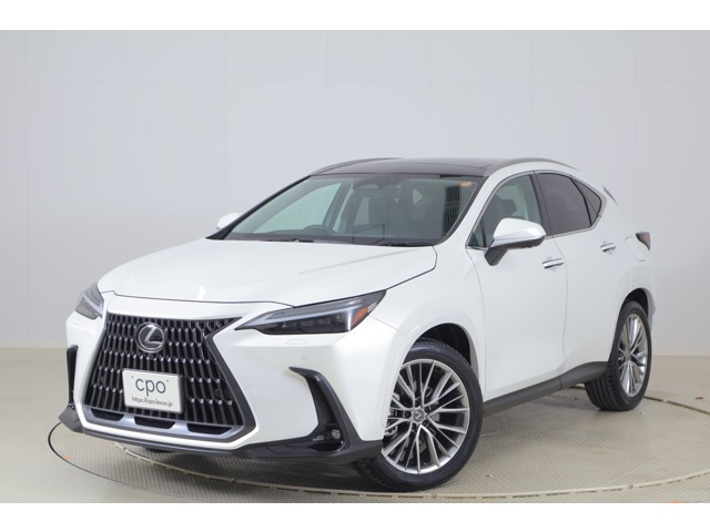 NX250 バージョンL