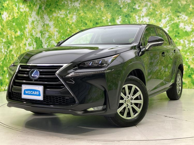 NX300h Iパッケージ