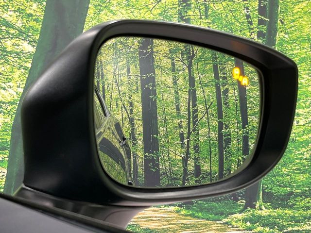 �y�u���C���h�X�|�b�g���j�^�����O�z���s���A�h�A�~���[�̎��p�ɂȂ�₷���ӏ��Ɍ㑱�Ԃ��ڋ߂���ƃT�C�h�~���[�t�߂Ɍx����\���A�h���C�o�[�ɒ��ӊ��N�����Ă���܂��B