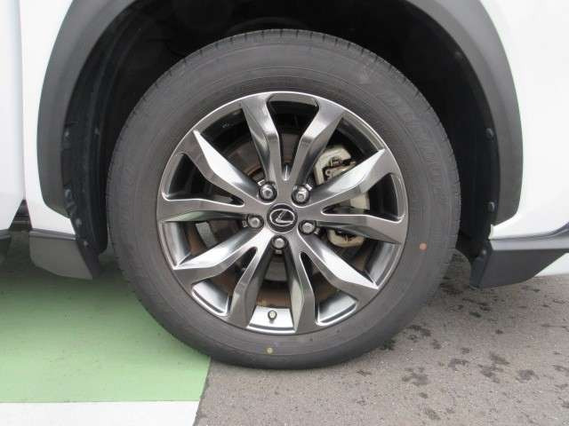 NX300h Fスポーツ