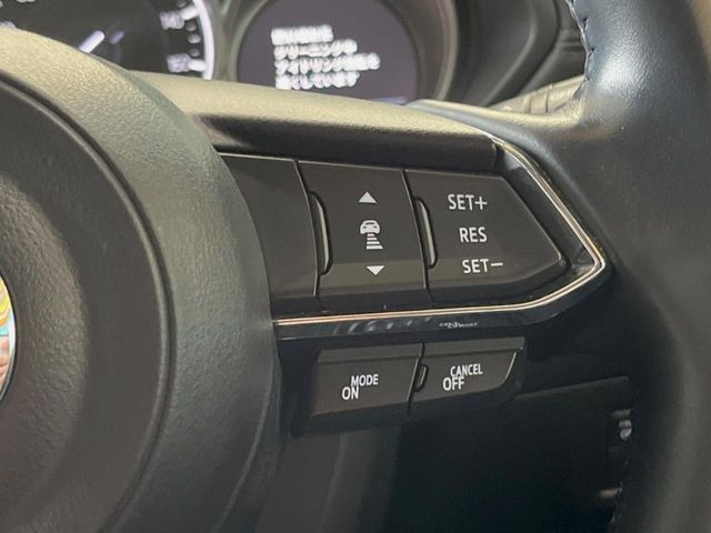 �y�}�c�_�E���[�_�[�N���[�Y�R���g���[���z�������H�ł̒��������s���y��!�����ő��x��ۂN���[�Y�R���g���[�����A�Փˌy���V�X�e���ƘA�g���A�O���̎ԗ������m���ĎԊԂ�ۂ悤�ɑ��x���߂��Ă���܂�!!