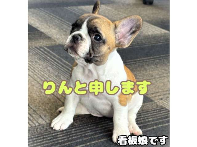 �Ŕ��̂�񂿂������҂����Ă܂�!!