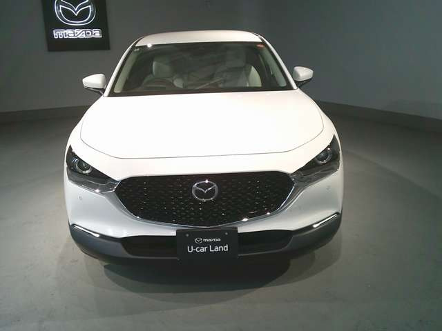 CX-301.8 XD Lパッケージ