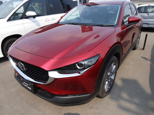 CX-302.0 20S プロアクティブ 4WD