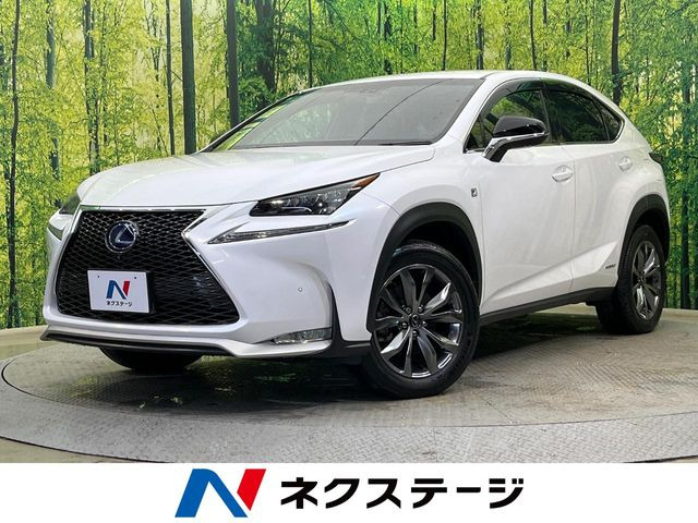NX300h Fスポーツ