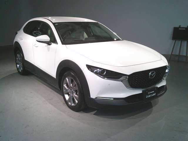 CX-301.8 XD Lパッケージ