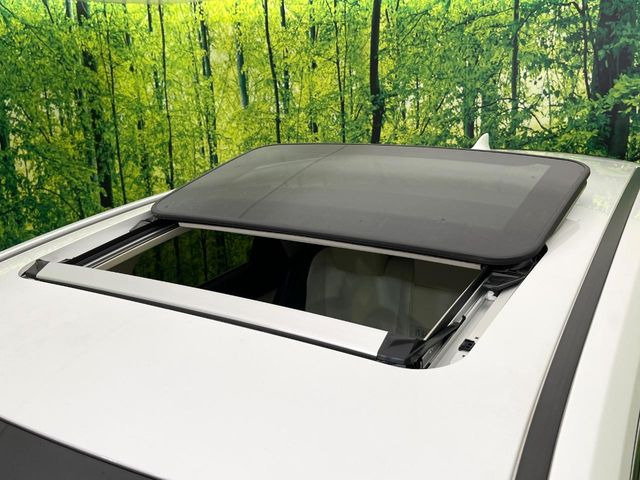 �y�T�����[�t�z�J���������Ղ�̊󏭑����A�T�����[�t����������Ă��܂�!�ԓ��ɖ�����������ꂽ��i�F���y���ވȊO�ɂ��A�ԓ��̋�C���ȒP�Ɋ��C�ł��ĉ��K�ł�!