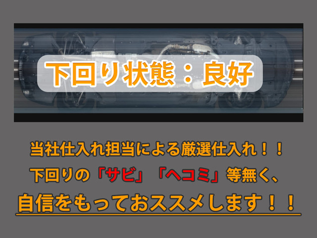 �����̓T�r��ɂ݂��Ȃ��ƂĂ��L���C��1��ł�!�����摜�����ł������t�\�ł�!����LINE���炨�C�y�ɂ��₢���킹��������!!