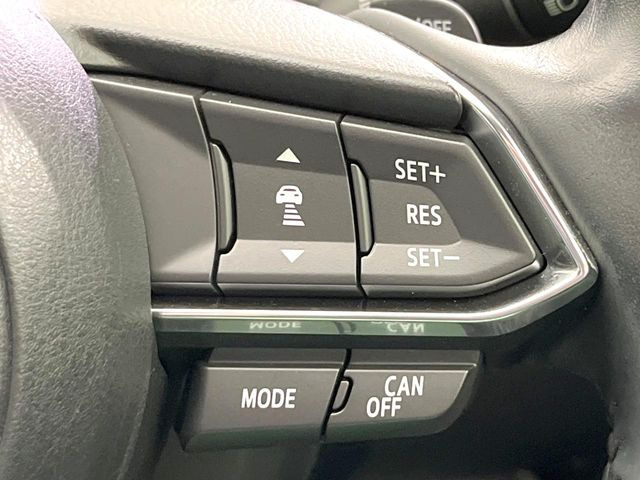 �y�}�c�_�E���[�_�[�N���[�Y�R���g���[���z�������H�ł̒��������s���y��!�����ő��x��ۂN���[�Y�R���g���[�����A�Փˌy���V�X�e���ƘA�g���A�O���̎ԗ������m���ĎԊԂ�ۂ悤�ɑ��x���߂��Ă���܂�!!