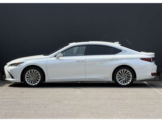 ���I�����d��������{!!���q�l�ցA�[���E������񋟂������܂����c �F�l�̂����X�E���A����S��肨�҂����Ă���܂����c