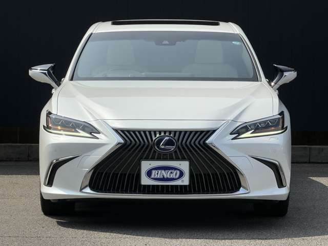 ES300h バージョンL