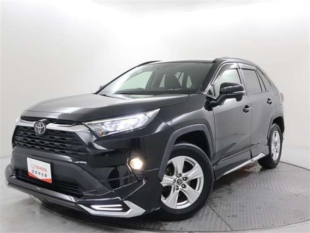 RAV42.0 X