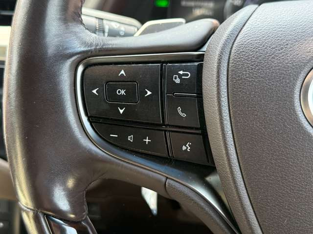 ���Д��H��E���^�ǎw�萮���H����������Ă���܂��B�[�Ԏ��̓_���E�����ɂ������S��������