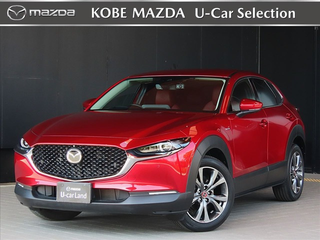 CX-302.0 20S