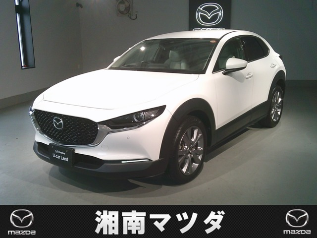 CX-301.8 XD Lパッケージ