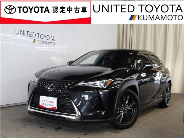 UX250h バージョンC