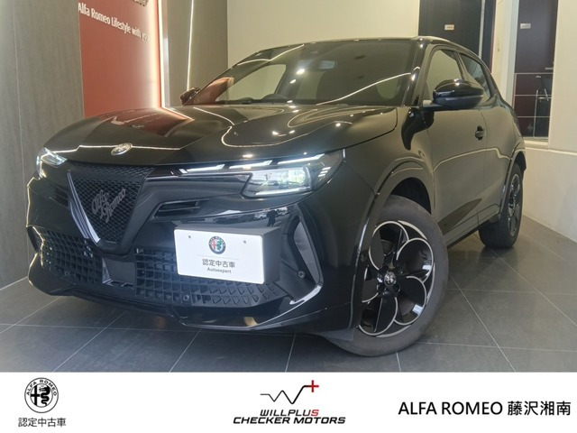 ジュニアイブリダ プレミアム