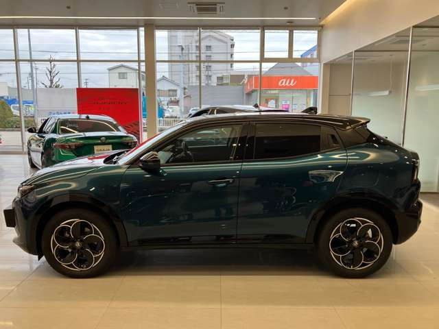 ジュニアイブリダ プレミアム