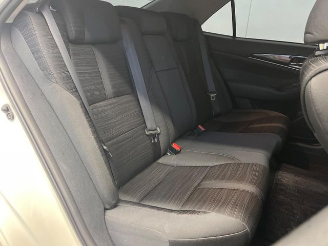 �㕔���Ȃ��C�ɂȂ�悤�ȃL�Y�E�����ւ��蓙�A�傫�ȃ_���[�W�͂Ȃ��A�ǍD�ȏ�Ԃł��B