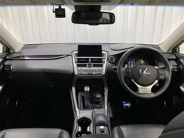 NX300h バージョンL 4WD