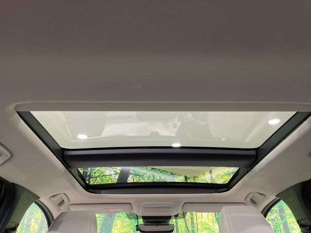 �y�T�����[�t�z�J���������Ղ�̊󏭑����A�T�����[�t����������Ă��܂�!�ԓ��ɖ�����������ꂽ��i�F���y���ވȊO�ɂ��A�ԓ��̋�C���ȒP�Ɋ��C�ł��ĉ��K�ł�!