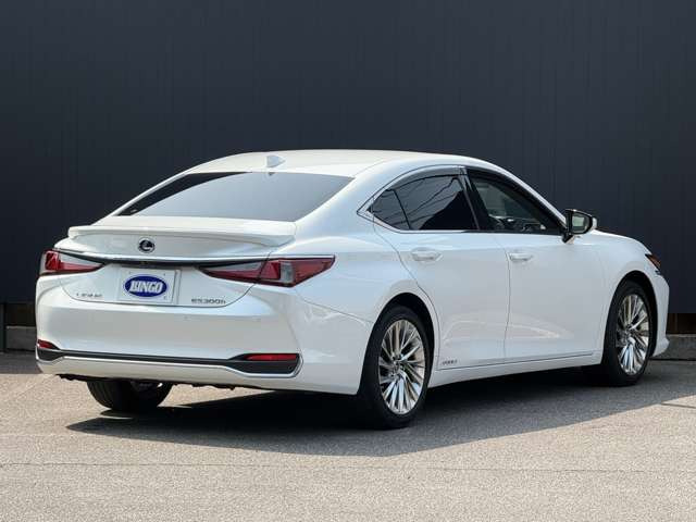 �����X�O�ɂ���]�̂��ԂƂ����Ԃ̂��A���𒸂��܂��ƁA�X���[�Y�ȑΉ��������Ē������Ƃ��\�ł��B�y�J�[�Z���T�[��������z�Ƃ��`�����������B