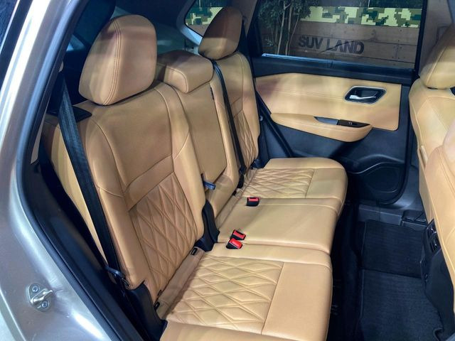 �㕔���Ȃ��C�ɂȂ�悤�ȃL�Y�E�����ւ��蓙�A�傫�ȃ_���[�W�͂Ȃ��A�ǍD�ȏ�Ԃł��B