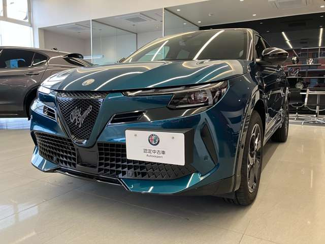 ジュニアイブリダ プレミアム