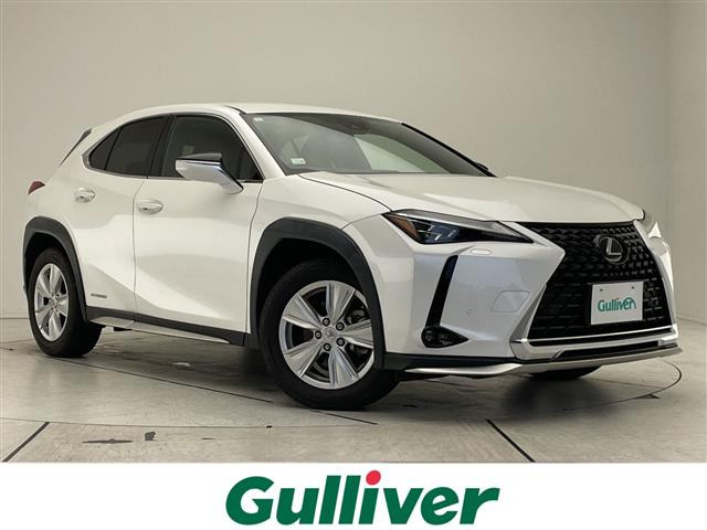 UX250h バージョンC