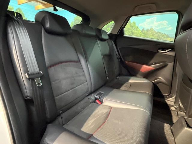 �㕔���Ȃ��C�ɂȂ�悤�ȃL�Y�E�����ւ��蓙�A�傫�ȃ_���[�W�͂Ȃ��A�ǍD�ȏ�Ԃł��B