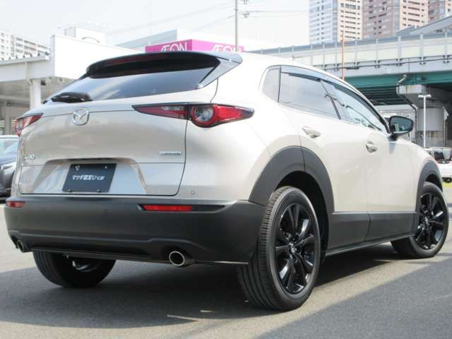 CX-302.0 20S