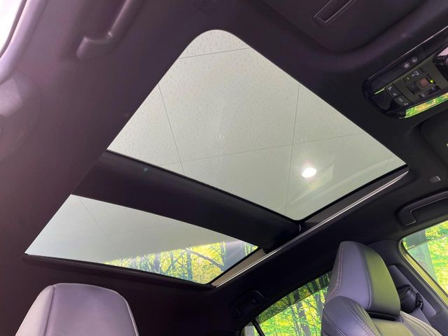 �y�T�����[�t�z�J���������Ղ�̊󏭑����A�T�����[�t����������Ă��܂�!�ԓ��ɖ�����������ꂽ��i�F���y���ވȊO�ɂ��A�ԓ��̋�C���ȒP�Ɋ��C�ł��ĉ��K�ł�!