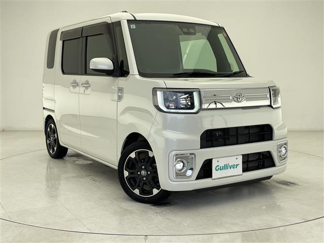 ピクシスメガGターボ レジャーエディション SAIII