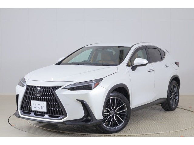 NX250 バージョンL