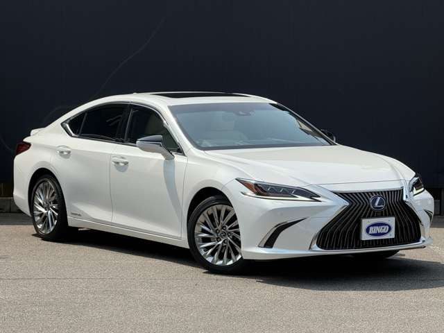 �ԗ���ԁE�ۏؓ��e�̗L���E�e�탍�[���������k���������܂�����A���C�y�ɂ��₢���킹�����������c���q�l�̃J�[���C�t��S�͂ŃT�|�[�g�v���܂����c