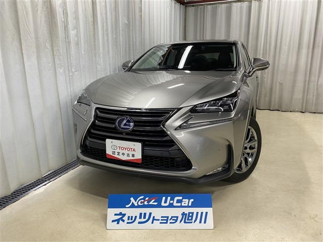 NX300h バージョンL 4WD