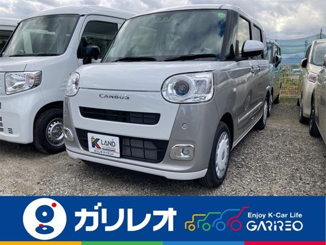 ムーヴキャンバスストライプス G