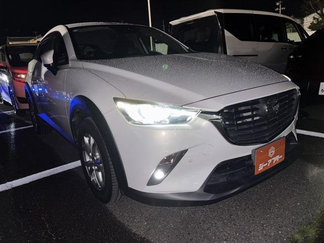 CX-31.5 XD