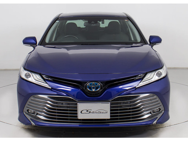 �t�����g�r���[�̑��݊���������������!!�w�b�h���C�g�͎��E�ǍD�̃��C�g�A����Ƀt�H�O���C�g���ځB�f�U�C�����������̂������ł��B