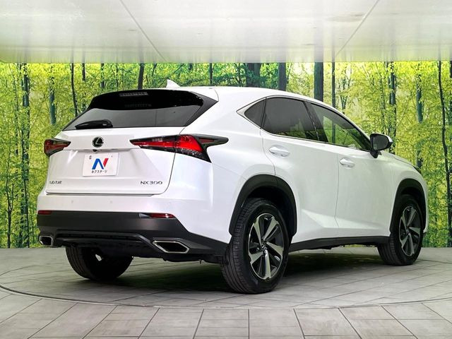 ���S���̃l�N�X�e�[�W���炨���񂹂��\��!�����̓X�܂ɓW�����Ă���N���}���C�ɂȂ�ꍇ���A�Ŋ��̓X�܂ł��������������Ƃ��\�ł�!���񎄂����ɗv�]������������������!���ʓr��p