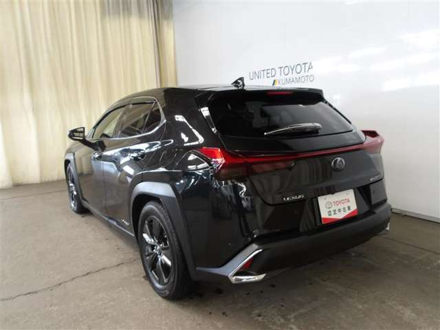 UX250h バージョンC