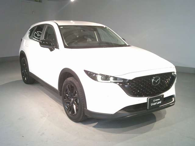 CX-52.0 20S ブラックトーンエディション