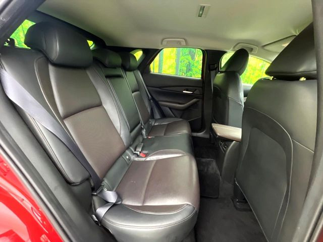 �㕔���Ȃ��C�ɂȂ�悤�ȃL�Y�E�����ւ��蓙�A�傫�ȃ_���[�W�͂Ȃ��A�ǍD�ȏ�Ԃł��B