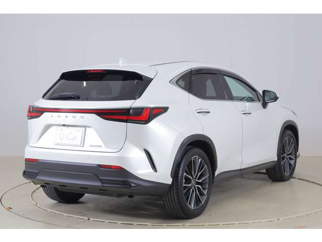 NX250 バージョンL