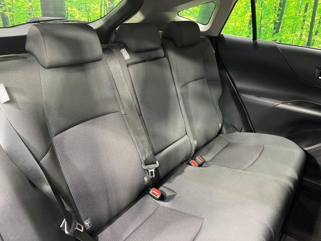 �㕔���Ȃ��C�ɂȂ�悤�ȃL�Y�E�����ւ��蓙�A�傫�ȃ_���[�W�͂Ȃ��A�ǍD�ȏ�Ԃł��B