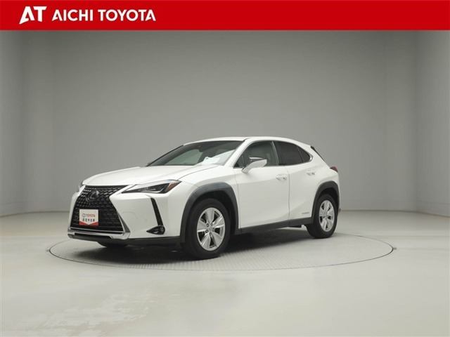 UX250h バージョンC