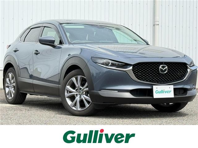 CX-301.8 XD Lパッケージ